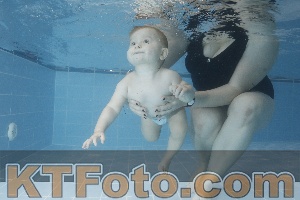 Photo 4209338