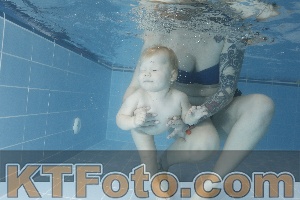 Photo 4209340
