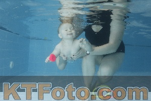 Photo 4209348