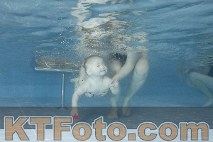 Photo 4209360