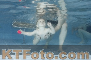 Photo 4209361