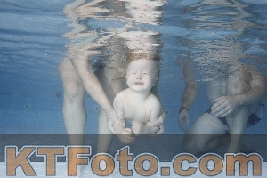 Photo 4209363