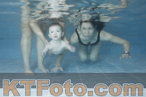 Photo 4209367