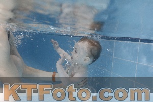 Photo 4209448