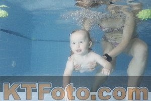 Foto 4209579