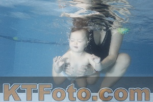 Foto 4209583