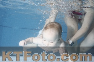 Foto 4209585