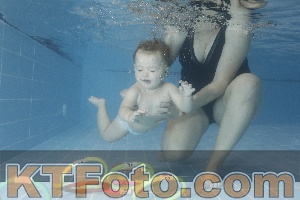 Photo 4209595