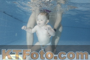 Photo 4209597