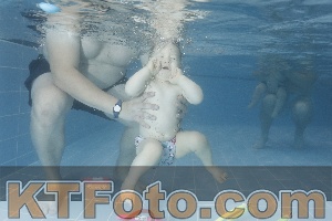 Photo 4209600