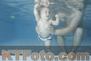 Photo 4209603
