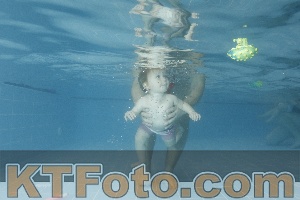 Photo 4209604