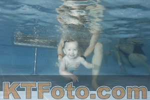 Foto 4209606