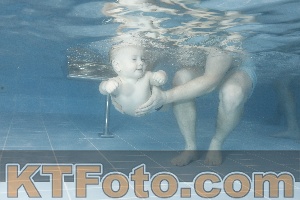 Foto 4209616