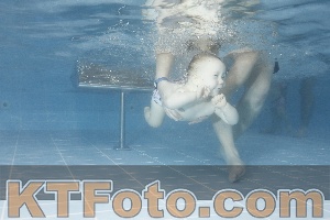 Foto 4209618