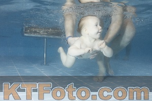 Foto 4209619