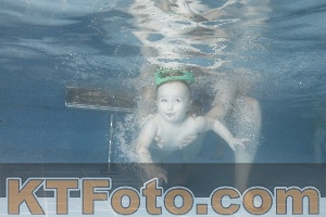Photo 4209822