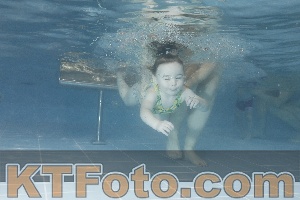 Photo 4209827