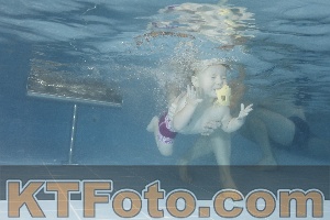Photo 4209830