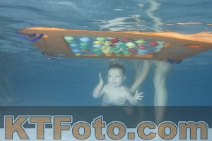 Photo 4209860