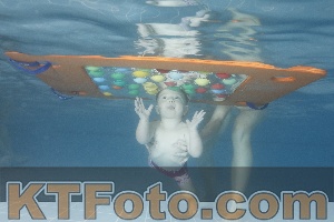 Photo 4209861