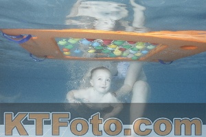 Photo 4209862