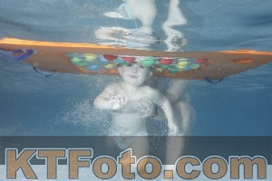 Photo 4209863