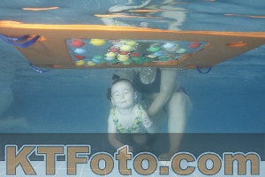 Photo 4209864