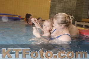Photo 4209943