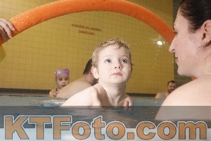 Photo 4209973