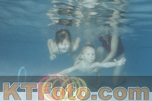 Photo 4210029
