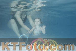 Photo 4210034