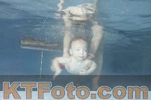 Photo 4210041