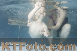 Photo 4210045