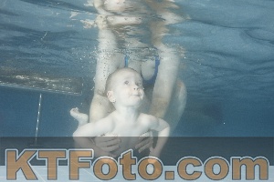 Photo 4210049