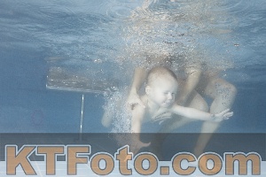 Photo 4210053
