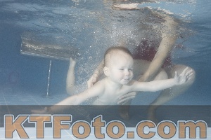 Photo 4210054