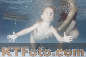 Photo 4210055