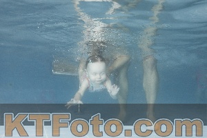 Photo 4210056