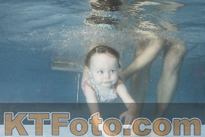 Photo 4210058