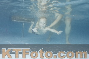 Photo 4210062
