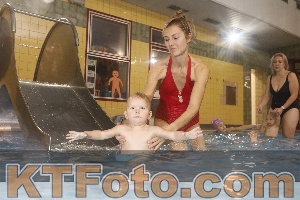 Photo 4210074