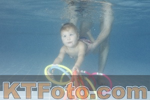 Photo 4210205