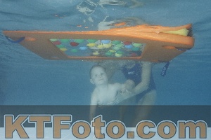 Photo 4210254