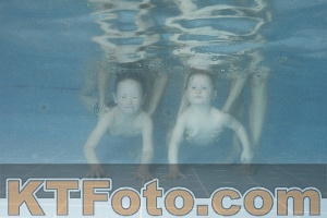 Photo 4210282