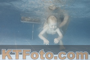 Photo 4210395