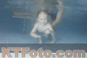 Photo 4210396