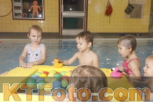 Photo 4210441