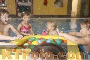 Photo 4210442