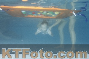 Photo 4210443